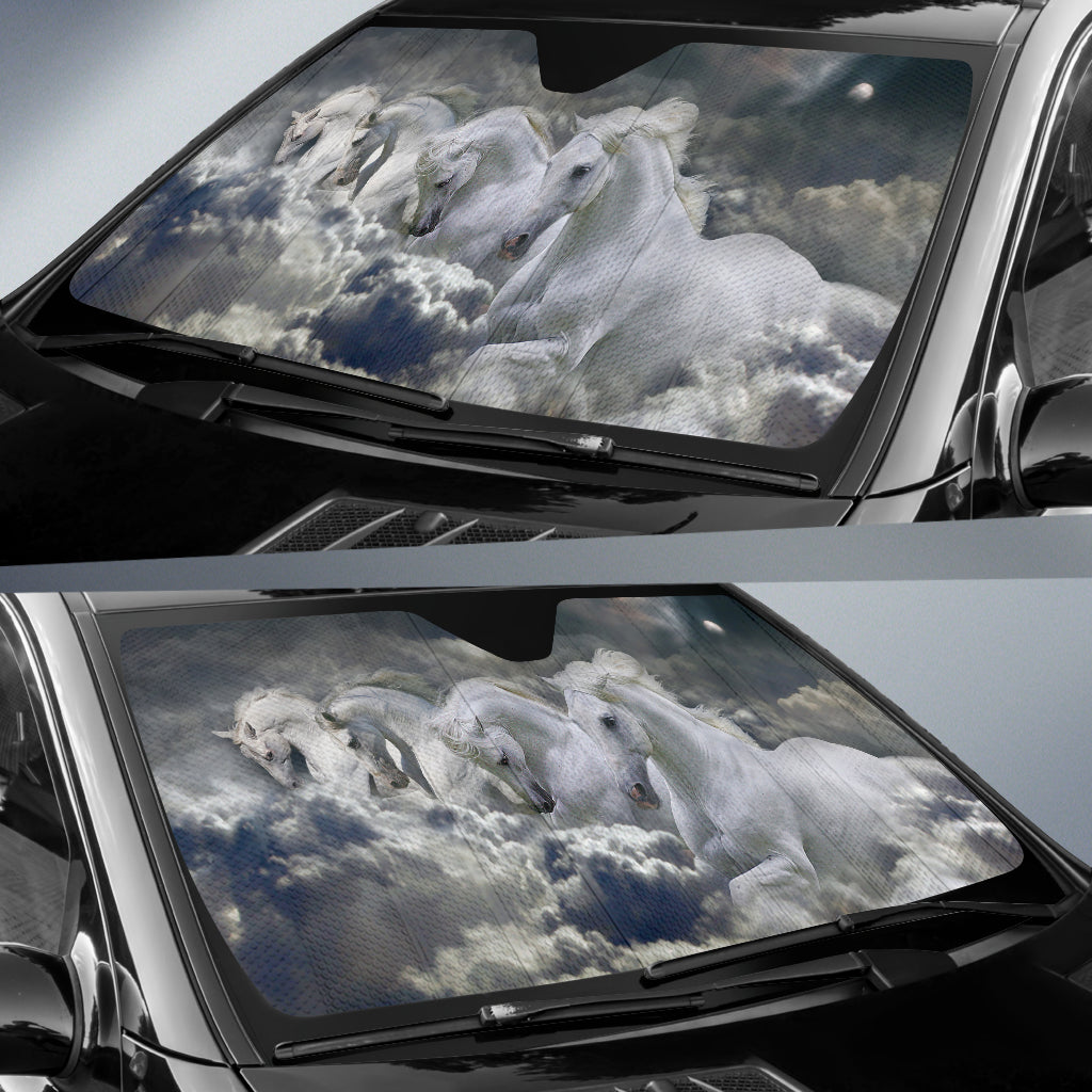 Out of the Storm Sunshade