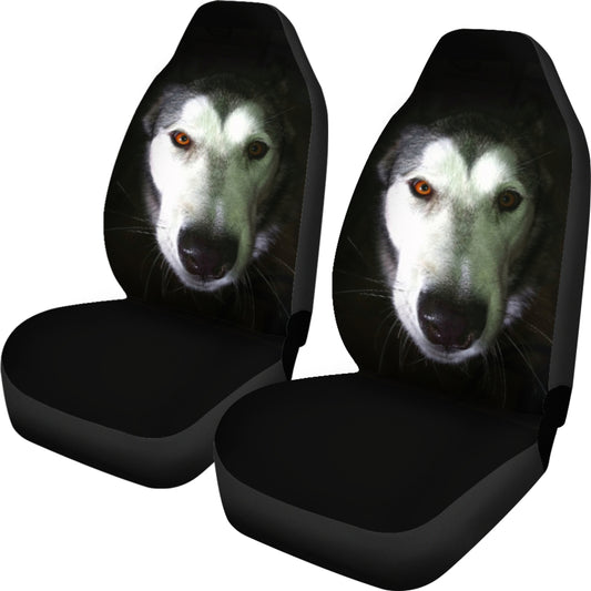 Stunning Alaskan Malamute Car Seat Covers