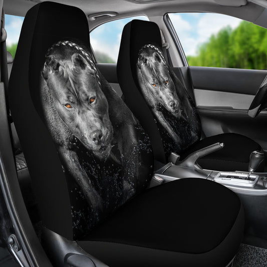 Pitbull Car Seat covers